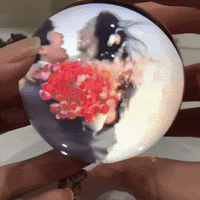 Relive Life’s Most Beautiful Moments in a Glowing Memory Orb ✨